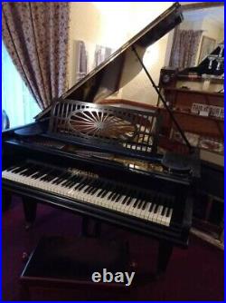 A 1900, Bechstein model E grand piano with a polished, black case and spade legs