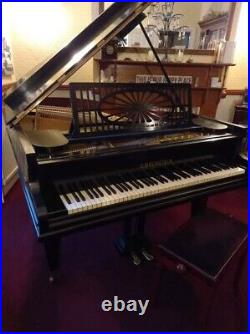 A 1900, Bechstein model E grand piano with a polished, black case and spade legs