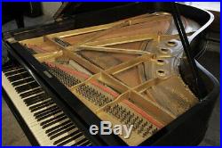 A 1902, Steinway Model B grand piano with a black case. 3 year warranty