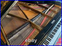 Beautiful Grand Piano by Spaethe, Germany in Chinoiserie painted art-case 1910