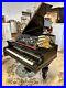 Bechstein-Antique-Grand-Piano-With-Ornate-Polished-Black-Case-C-1876-01-zew