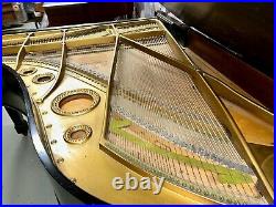 Bechstein Model B Grand Piano With A Black Case C. 1910