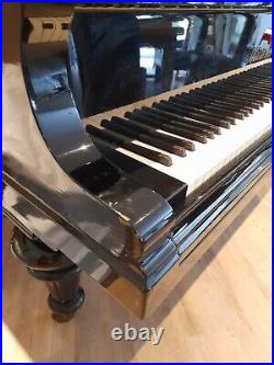 Bluthner Model VIII (Style 8) 6ft 3 Grand Piano Aliquot Stringing Ebonised Case