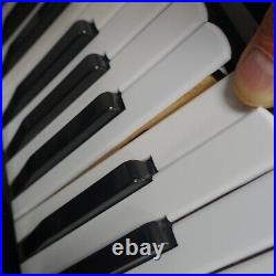 E-Soprani 96 bass Piano Accordion plus Fuselli Padded case/bag