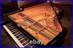 Restored, 1902, Bechstein Model V Grand Piano with a Black Case. 5 Year Warranty