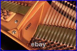 Restored, 1902, Bechstein Model V Grand Piano with a Black Case. 5 Year Warranty