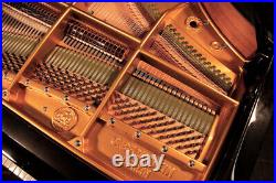 Restored, 1902, Bechstein Model V Grand Piano with a Black Case. 5 Year Warranty