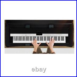 Rhino JamesCase Keyboard Piano Case for an 88-Key Keyboard Piano 7.5×19.5×57