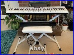 Roland Digital Go-Piano 61 Keys, Piano Stand FP2Foot Pedal + Stool & Carry Case