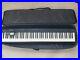 Roland-FP-10-Digital-Piano-with-Padded-Carry-Case-01-jx