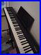 Roland-FP10-88-Key-Digital-Piano-Black-With-Case-Weighted-88-Keys-01-nvzo