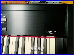 Roland RD-700NX Digital Stage Piano with flight case