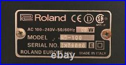 Roland Rd-100 Digital Stage Piano With Flight Case