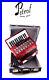 TOP-German-Made-Piano-Accordion-Weltmeister-Serino-40-bass-5-reg-Case-Straps-01-nrx