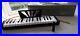 Vintage-1970s-Hohner-Melodica-Piano-32-Made-in-Germany-Hardly-used-excellent-01-wynx