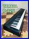 YAMAHA-Electronic-Piano-P-125-Black-Keyboard-with-Soft-Case-01-pl